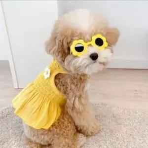 [PET] 옐로우 고양이 강아지 플라워 옷 드레스 애견옷 XL