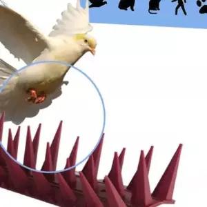 아파트 실외기 비둘기퇴치핀 새쫓는기구 버드스파이크