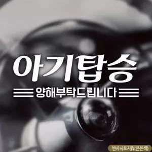 [셀러에이드]아기탑승 양해부탁드립니다 차량스티커 반사 자석 스티커