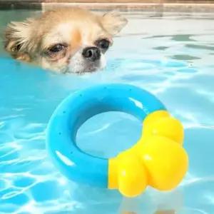 [PET] 쿨링장난감 리빙 튜브 강아지장난감