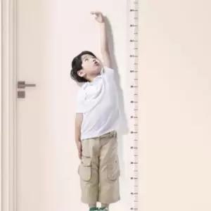 200cm 키재기 시트지 스티커 눈금자 키측정 벽부착형