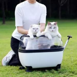 유모차 개모차 반려동물 이동가방 소형견 투명 고양이 산책