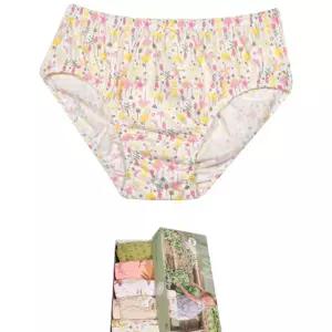클로이 여아동 삼각팬티 5매입아주니어 자아이속옷 아속옷 자어린이 아팬티 언더웨어 자팬티 자속옷