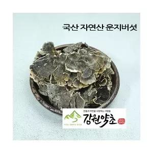 운지버섯 600g 운지버섯차 구름버섯 자연에서 채취한 선물세트 설날 명절 부모님 한가위 시댁