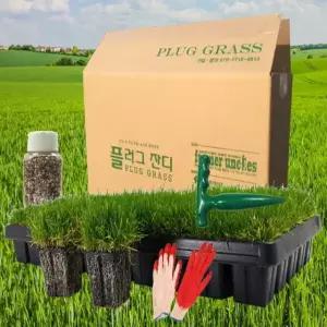 봉분잔디 플러그잔디 SET