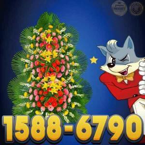 031-893-8020 안양더그레이스켈리안양웨딩홀 결혼식화환 1E축하문구 리본