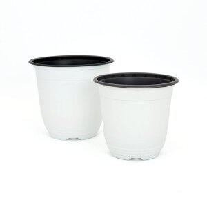 [기타]화분 연질 모종화분 비닐포트 육묘 포트 재배분 이색포트 백색 D150 D170