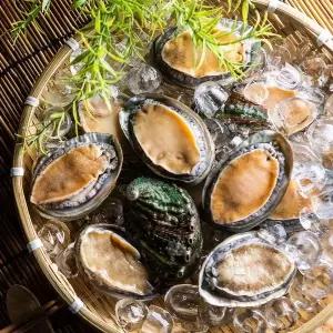 산지직송 완도 활 전복 1kg(10-11미)/특대+손질도구 포함