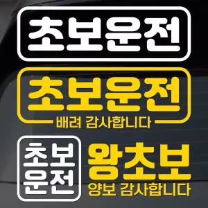 초보운전 심플형 차량 스티커 유리 부착