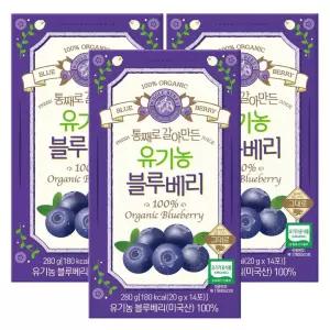 홀베리 통째로 갈아만든 유기농 블루베리 퓨레 스틱 20g x 14포 3개