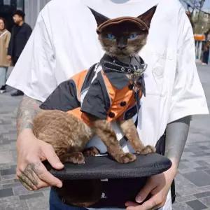 강아지 힙시트 반려견 안기 가방 포대기 이동캐리어 허리 의자 고양이 강아지 외출용