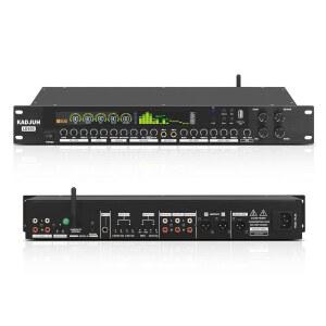 KADJUH LD300 프로페셔널 KTV 디지털 프리스테이지 이펙터 안티홀링 오디오 프로세서 에코 USB MP3 블루투스 광학 가정용 리버레이터 노래방 무대 교회 공연용 3 마이크 입력 ㅣTQ
