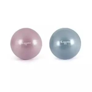 짐볼(55cm) 스트레칭 임산부 근력운동 요가 홈트 헬스 보수볼 돌봄 (WAB82AE)