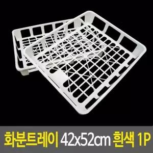 [콩심팥심]화이트 플라스틱 화분 트레이 모종판 모종 운반상자 식물 받침대