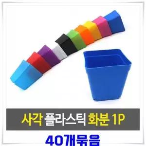 화분 미니 플라스틱화분 화이트 사각 파종용 미니식물 다육이 40개