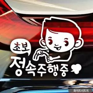 [골드스마일]초보운전 스티커 초보 자동차 캐릭터 귀여운 안전운전 차량용
