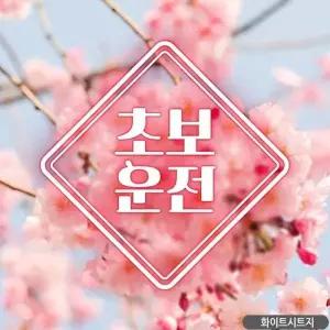 [골드스마일]초보운전 초보자동차스티커 아기 차량용스티커 자동차