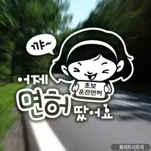 [골드스마일]왕초보 어제면허땄어용 초보운전 초보자동차 차량스티커