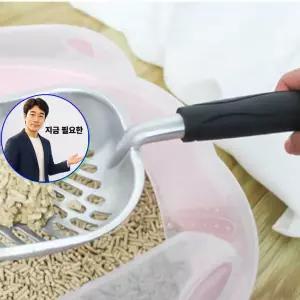 지금 필요한 똥삽 고양이 모래삽 스테인레스 대형 스테인레스모래삽 합금 화장실