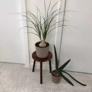 우드스텐드 원목 스툴 화분 받침대 30x40cm 인테리어 소품