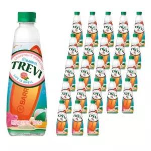 트레비 자몽 탄산음료 500ml 12개 /s