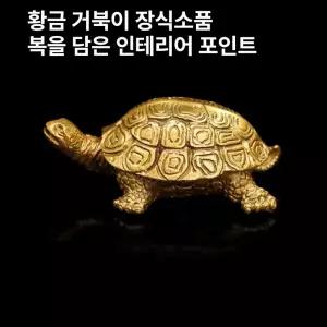 써니글로벌 거북이 장식 거북이장식 촬영소품거북이