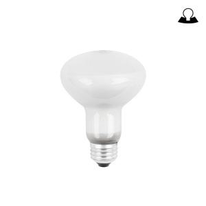 일광 반사형 전구 R80 Flood 220V 100W 전구색