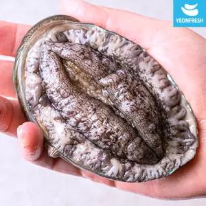 [선물포장] 완도활전복 1.5kg  6-8미 총12마리(미당125g내외)