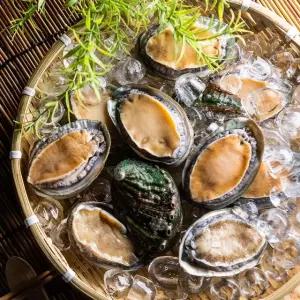 산지직송 완도 활 전복 1kg(10-11미)/특대+손질도구 포함
