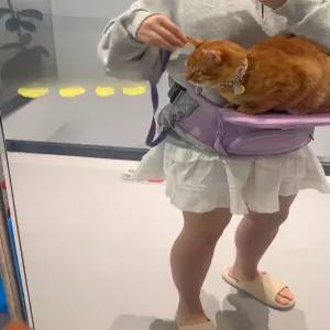 강아지 힙시트 애견 캐리어 소형견 외출용 이동가방 애완동물 배낭