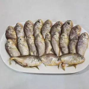 연안 급냉 황석어 500g