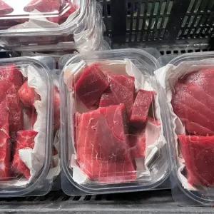 동해안 손질 참치회 참다랑어회 500g 필렛 원물 150kg