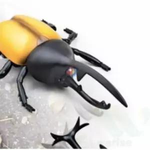 Bugs 장수풍뎅이 장난감 색상랜덤 작동완구