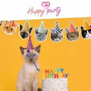 오너클랜 반려동물 용품 기념 생일 반려묘 고양이 펫 파티 고양이가랜드 반려동물가랜드