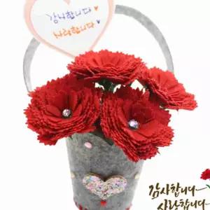 펠트 꽃바구니 카네이션 선물 1인 포장 어버이날선물 선물용꽃