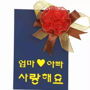 카네이션 감사 액자 만들기 키트 부모님 선물 유치원선물 액자DIY