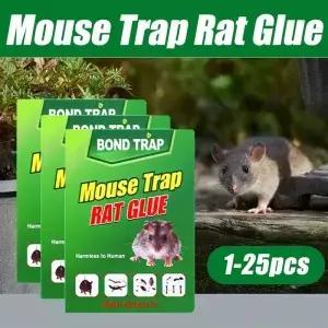 25pcs 마우스 보드 끈적 쥐 캐쳐 트랩 레스토랑 주방을위한 무독성 해충 방제
