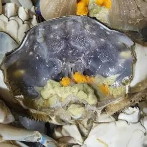 [지투지샵]국산 활 암꽃게 1kg
