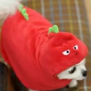 패리스독 웜 가운 캐릭터 공룡 레드 L-XL 담요 방석 쿠션 강아지