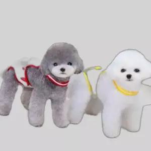 BND-F41 과일 홀터넥 강아지 중성화복