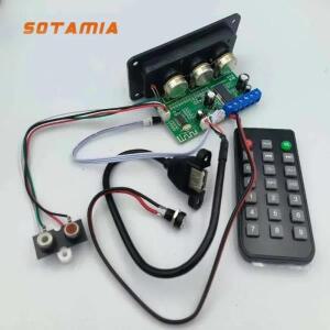 SOTAMIA 30W 모노 블루투스 서브우퍼 증폭기 AUX USB 사운드 스피커 전력 포함된  오디오  앰프