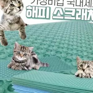 해피스크래쳐(10P) 고양이장난감 고양이용품 평판 매트 양면 반려묘