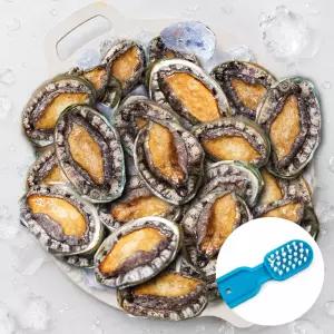 산지직송 완도 활전복 대자 무조건 20미 1.4kg 해수담은 초신선 활전복 (전용
