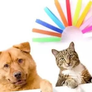 PET 새끼 강아지 목걸이 12색 인식표 고양이 탯줄 컬러 네임택 출산 준비물