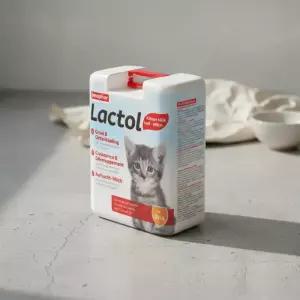 비어파 락톨 키티 새끼고양이 분유 초유 대용유 500g