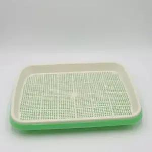 집에서 콩나물 키우기 무순 재배기 수경 채반 트레이