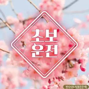 [골드스마일]초보운전 스티커 반사 아기 초보 엄마와 사각 고휘도반사스티커