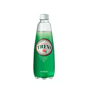 롯데칠성음료 트레비 자몽 500ml 6개 /s