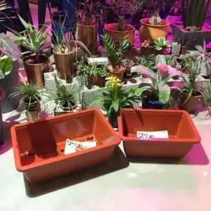 베란다 텃밭용 플라스틱 화분 직사각(바퀴이동형)1 (W73F5F2)