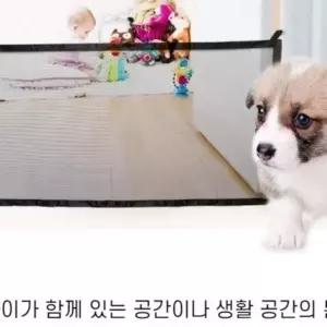 WL 반려동물 가림막 안전 메쉬망(기본형)